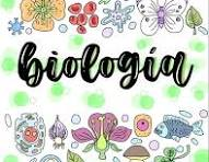 fonica26.milaulas.com